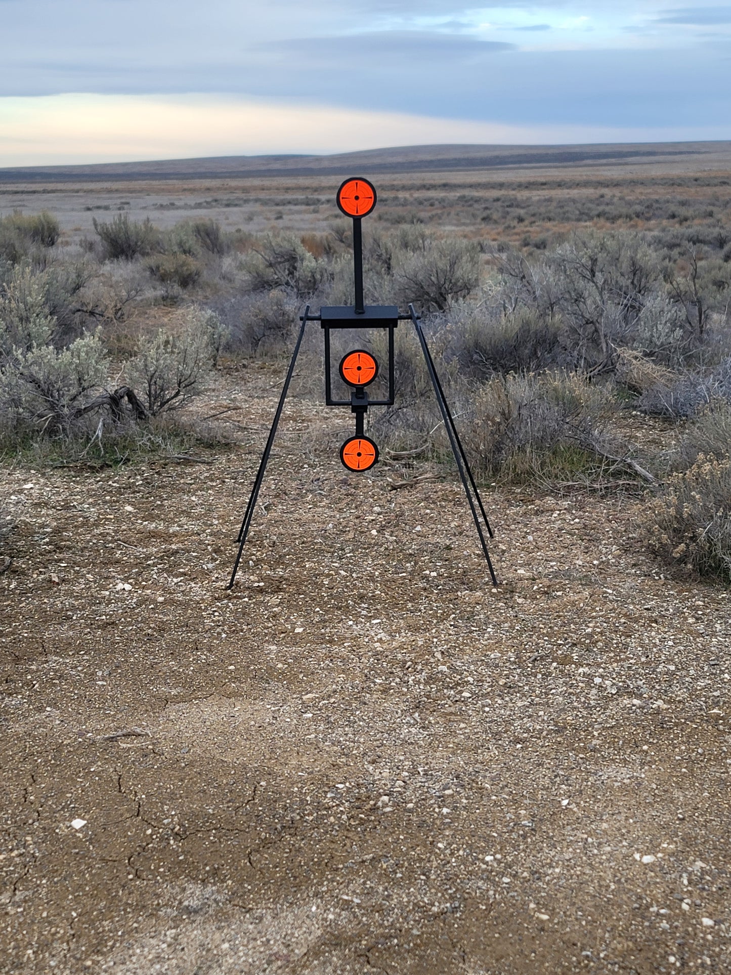 Double Pendulum Steel Target