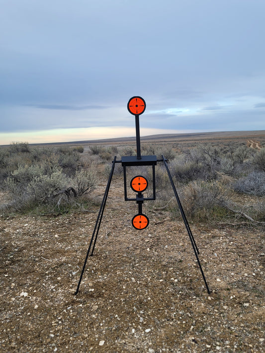 AR500 Double Pendulum Spinner - Rimfire